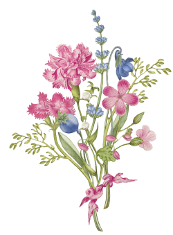 hoa, flower, retro, vintage 4
