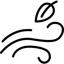 Gió, wind