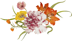 hoa, flower, retro, vintage