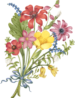 hoa, flower, retro, vintage 5