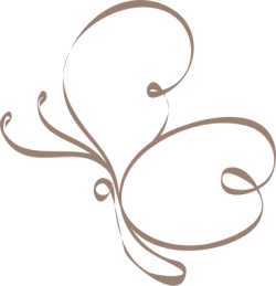 bướm, buffterfly, line