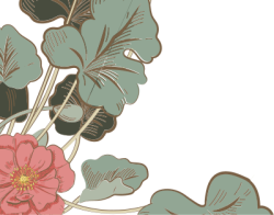 vintage, flower, hoa