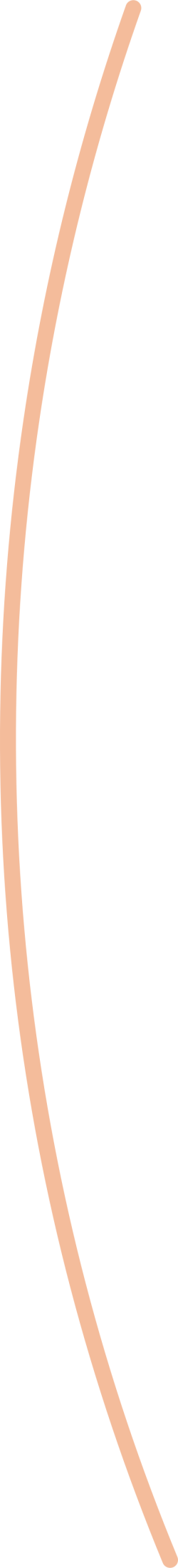 line, đường kẻ, đường cong