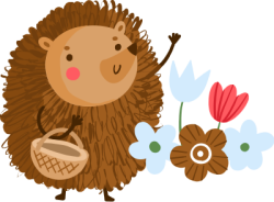 nhím, hedgehog