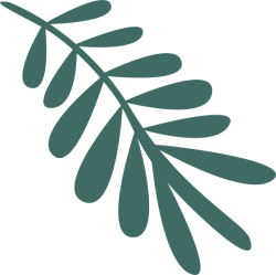 lá, leaf, dễ thương, cute