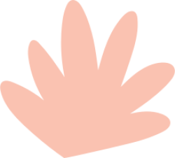mảng màu, shape, color, màu sắc