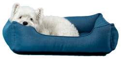 pet, thú cưng, cún, chó, dog, puppy