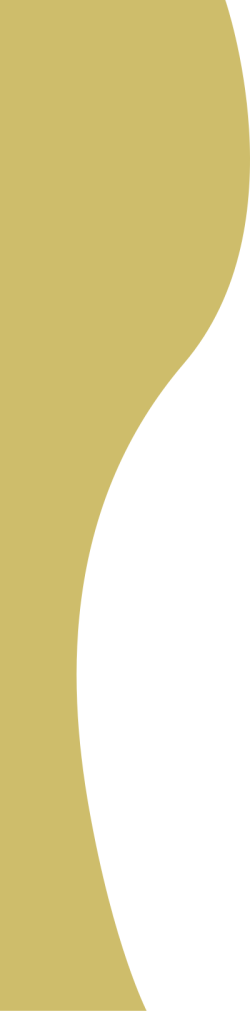 Shape, hình dạng, trừu tượng, abstract