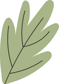 lá, lá cây, leaf, cây xanh, tree, grass