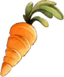 cà rốt, carrot