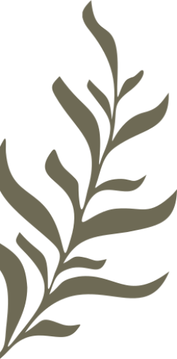 lá, lá cây, leaf, shape
