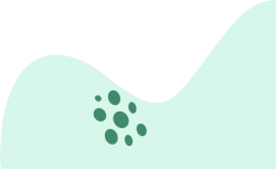 mảng màu, mảng, shape, abstract