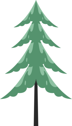 cât, tree, cây thông, pine tree