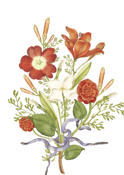hoa, flower, retro, vintage 1