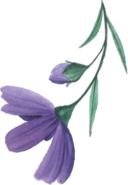 flowers, hoa, nướchoa,perfume 1