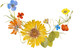 hoa, flower, retro, vintage