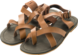 giày, sandals