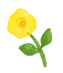 hoa, flower, watercolor, màu nước