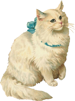 mèo, cat, cổ điển, vintage, retro