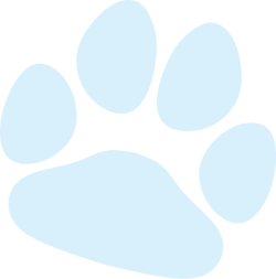 Dấu chân, pet, thú cưng, cún, chó, mèo, dog, cat