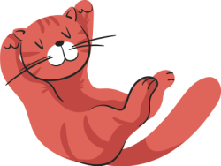 mèo, cat