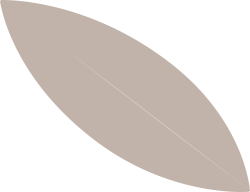 lá, leaf, dễ thương, cute