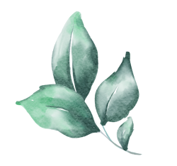 lá , leaf, vintage, leaf watercolor