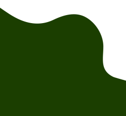 shape, mảng, mảng màu, line