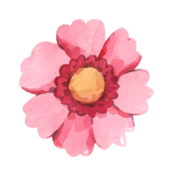 hoa, flower, watercolor