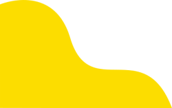 shape, mảng, mảng màu, line