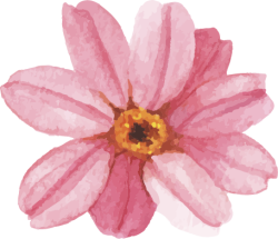 hoa, flower, brush,water color, màu nước
