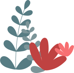 hoa, flower