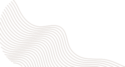 shape, mảng, đường, line