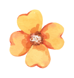 hoa, flower, watercolor