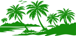 Cây dừa, dừa, coconut