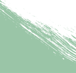 Shape, brush, mảng màu