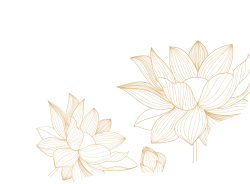 Hoa sen, lotus, golden line, sang trọng, wedding