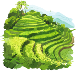 Việt Nam, Vietnamese, du lịch, travel, tourism