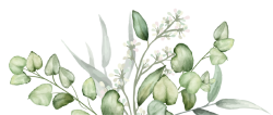 Hoa lá, flower, leaf, màu nước, watercolor, thiên nhiên, hoa cỏ