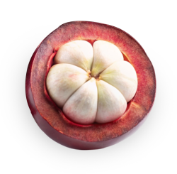 măng cụt, mangosteen