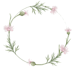 Hoa lá, flower, leaf, màu nước, watercolor, thiên nhiên, hoa cỏ