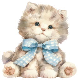 Cat, mèo, mèo con, cat doll