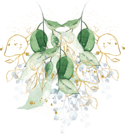 Hoa lá, flower, leaf, màu nước, watercolor, thiên nhiên, hoa cỏ