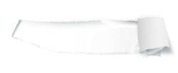 paper, giấy , xé giấy