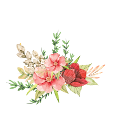 Hoa lá, flower, leaf, màu nước, watercolor, thiên nhiên, hoa cỏ