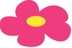 flower, hoa