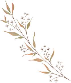 Hoa lá, flower, leaf, màu nước, watercolor, thiên nhiên, hoa cỏ
