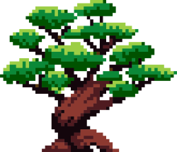 Bonsai, cây, tree