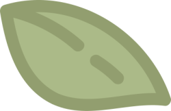 Lá, leaf, lá cây