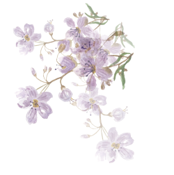 Hoa lá, flower, leaf, màu nước, watercolor, thiên nhiên, hoa cỏ